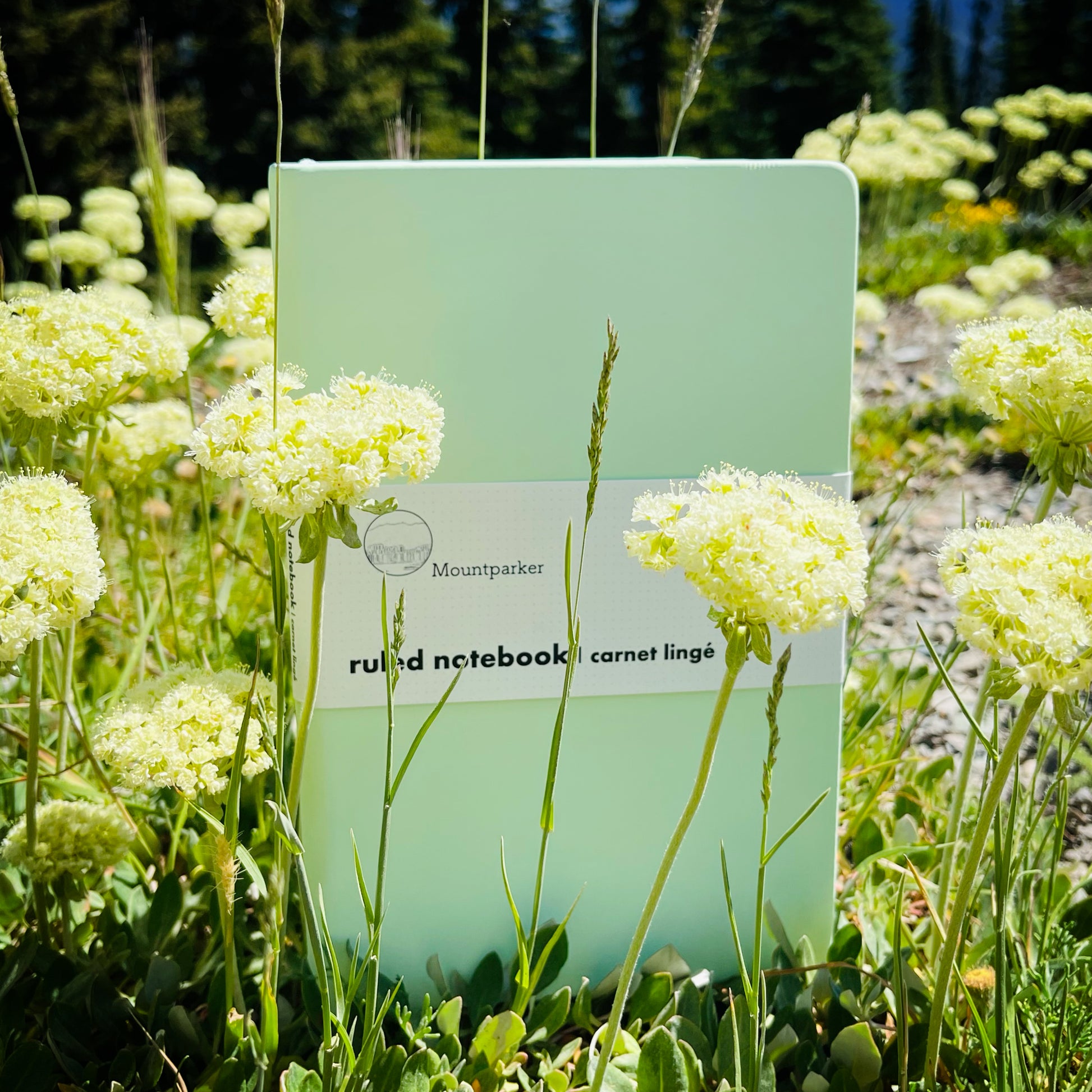 Ruled Lined Notebook Mountparker chill purple matcha green cheerful orange colour lined journal classic black macchiato brown modern grey soft touch hardcover A5